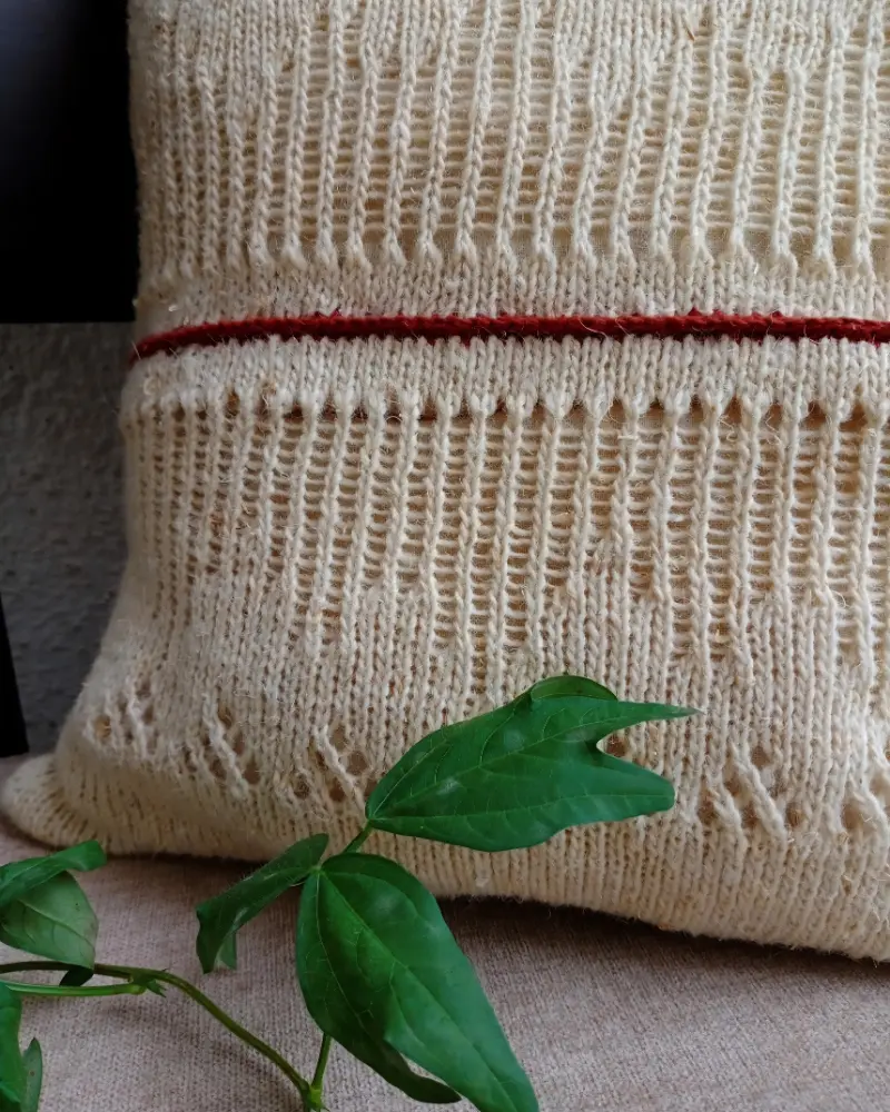 Craft-based garment in HimGra® fibre by Kalyani Modhikar, MKSS Pune