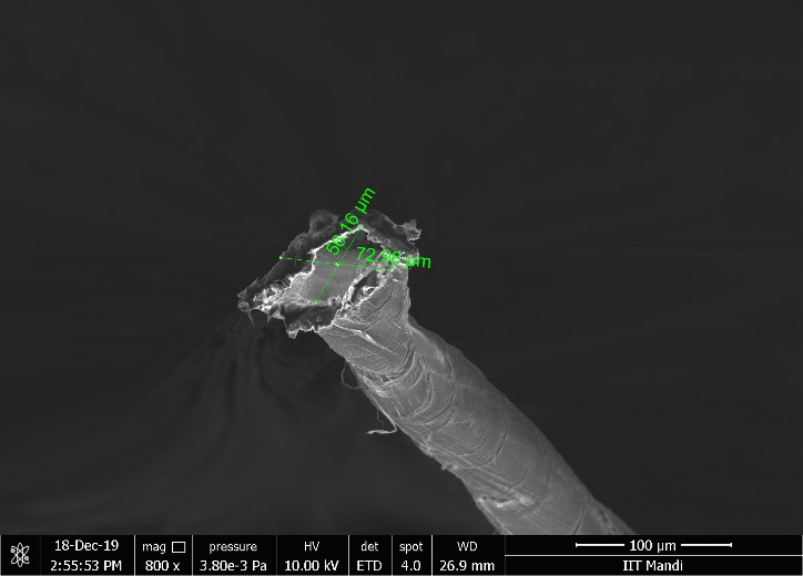 HimGra® fibre hollow cross-section (SEM micrograph)