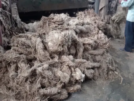 HimGra Fibre